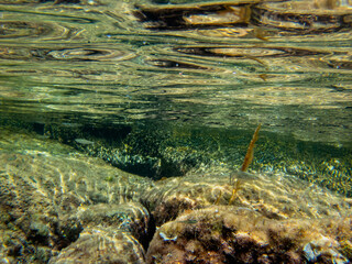 Fondale marino Acitrezza