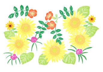 元気の出る夏の花　サマーフラワー　黄色