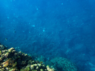 Fondale marino Acitrezza