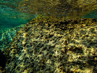 Fondale marino Acitrezza