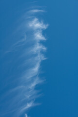 nietypowy kształt chmury na czystym błękitnym niebie - obrazy, fototapety, plakaty