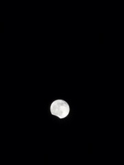 Mond