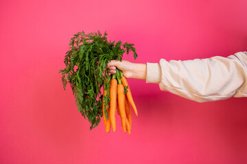Girl holding fresh carrot in hand. Pink background. concept of a healthy diet.
