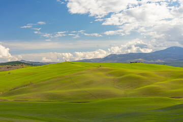 Obraz premium tuscan landscape near Pienza in spring