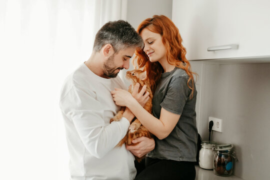 Couple caressing cat in kitchen