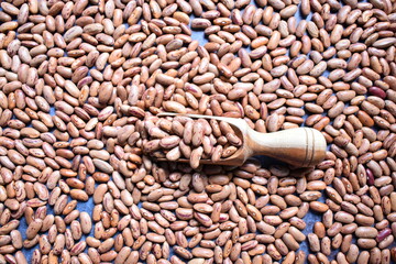 Raw whole dried speckled kidney beans