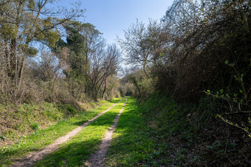 Fototapeta premium Walking on a path around Montrésor in spring, Indre et Loire, France