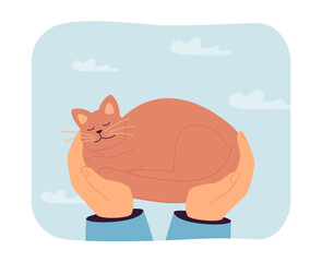 Hands holding sleeping cat flat vector illustration. Owner taking care of lovely kitten, spending time with pet. Love, friendship concept for banner, website design or landing web page