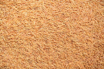 Dried roasted thin Vermicelli pasta