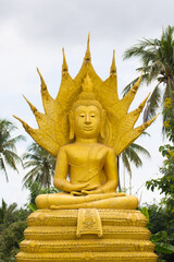 Obraz premium big golden buddha statue in thai temple