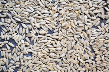 Raw whole dried hulled sunflower seed