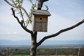 Closeup of wooden bird house ion tree branch