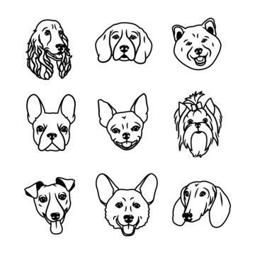 Vector image. Muzzles of dogs of different breeds