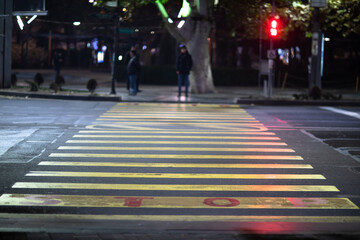 Zebra crossing, city view