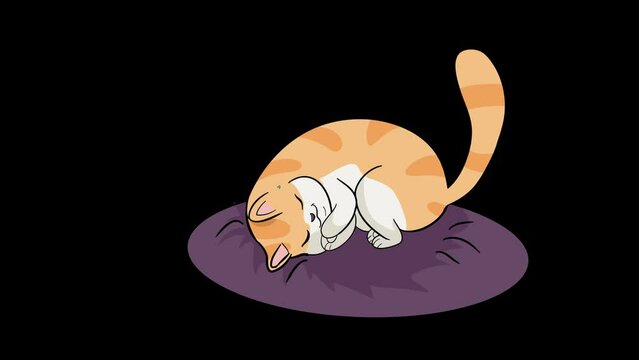 Animation of cat sleeping on the mat