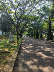 alley in the park