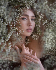 Tender portrait of a blue-eyed girl in a transparent scarf with gypsophila