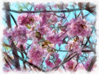 Obraz na płótnie Canvas big tree full of pink flowers watercolor style illustration impressionist painting.