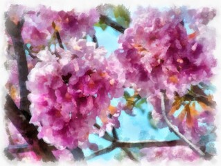 big tree full of pink flowers watercolor style illustration impressionist painting.