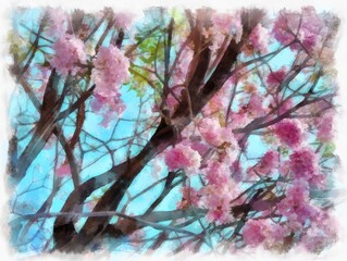 big tree full of pink flowers watercolor style illustration impressionist painting.