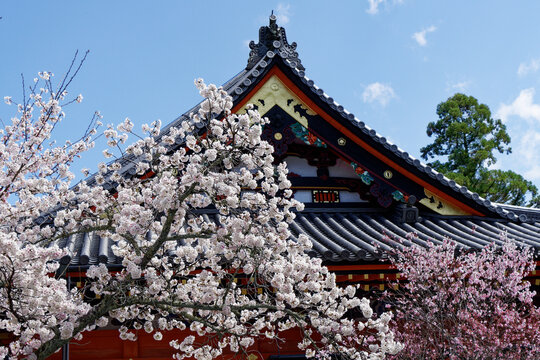 京都 毘沙門堂 Images – Browse 947 Stock Photos, Vectors, and Video | Adobe Stock