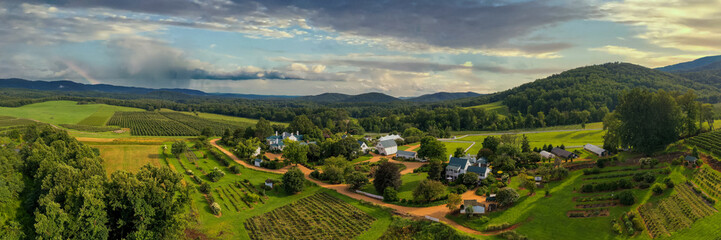 Aerial panoramic view of rural ranch with planted field near to a dense forest in bright sunlight