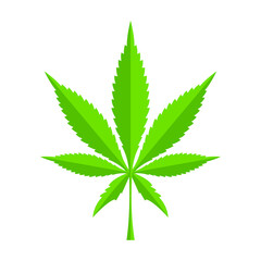 Marijuana hemp Cannabis sativa or Cannabis indica leaf vector illustration