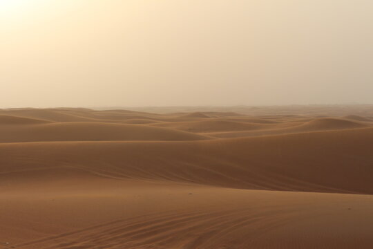 Desert Landscape ATV