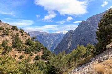 Scenic view of the rocky mountains of Samaria Gorge, covered with green pine trees in Crete, Greece