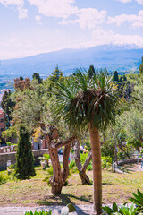 Villa Comunale Park in Taormina, in Sicily, Italy. Beautiful tropical plants, blue sky in sunny day. 