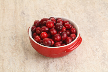 Ripe sweet tasty cranberry in the bowl