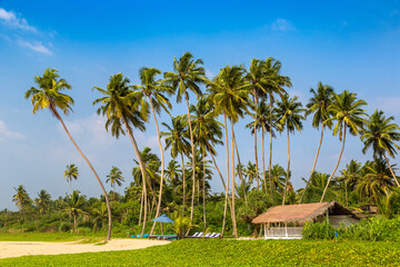 Fototapeta premium Shinagawa Beach in Sri Lanka