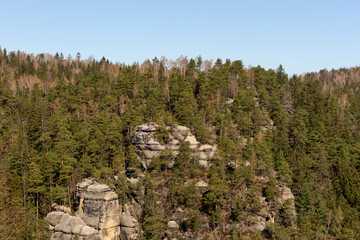 View of the sandstone cliffs and the coniferous forest in the Zittau Mountains. Saxony. Germany