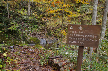 宇津江四十八滝　紅葉