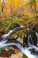 宇津江四十八滝　紅葉
