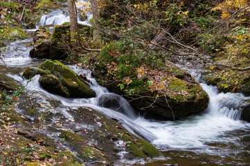 宇津江四十八滝　紅葉