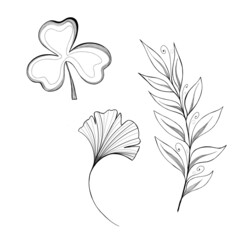 set of hand-drawn plants: ginkgo, cleve leaf and twig with leaves