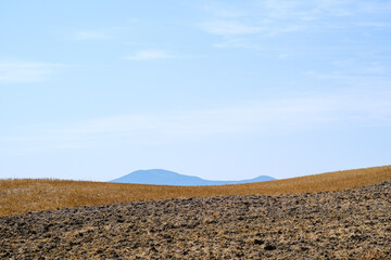 Summer field landscape in Tuscany with wheat fields and mountains in the distance in a sunny day