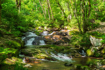 Obraz premium 宇津江四十八滝