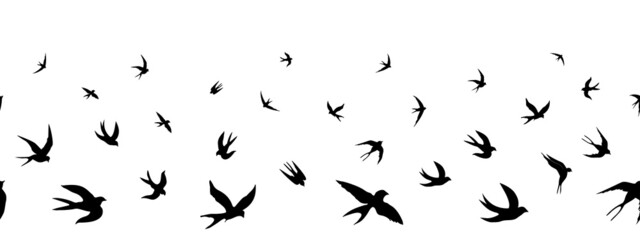 Seamless horizontal border pattern with swallows. Black silhouettes of flying birds on white background. Silhouette of a flock of swallows. Vector illustration  isolated 