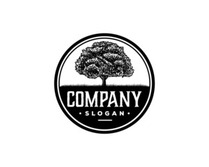 Old Oak Maple Tree Silhouette on the Park Residential landscape Hand Drawing Symbol Vintage Stamp Seal Logo Vector