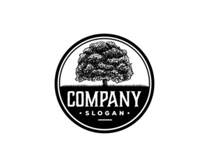 Old Oak Maple Tree Silhouette on the Park Residential landscape Hand Drawing Symbol Vintage Stamp Seal Logo Vector