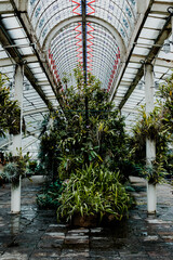 Invernadero de orquídeas