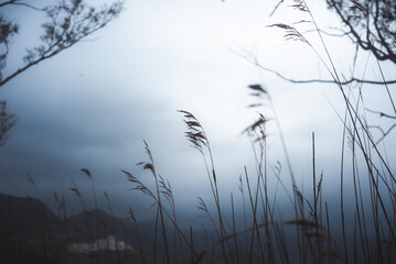 dry grass against the backdrop of mountains and sky on a cloudy day