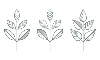 Graphic branches icons vector set. Contour line leaves illustration isolated on white. Floral design element for print, background, banner or card. Ecology symbol, environment concept, eco sign or log