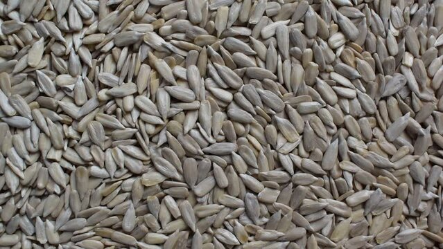 Raw whole dried hulled sunflower seeds
