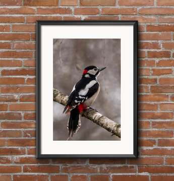 obraz w czarnej ramie dzięcioł duży ptak na ścianie z czerwonej cegły © Colorful Soul