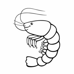 Outline drawing of cartoon shrimp. Kids coloring page with a funny prawn. Line vector illustration of seafood.