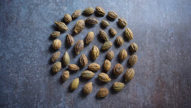 Raw whole dried Terminalia chebula fruit