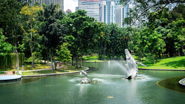 The Beautiful View Of KLCC Park With The Green Nature And Pool With Whale Water Fountain And Tall Building